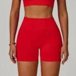 Wholesale Shorts Seamless Gym Shorts Sports Clothes Manufacturer Custom Fitness Apparel