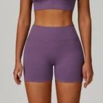 Wholesale Shorts Seamless Gym Shorts Sports Clothes Manufacturer Custom Fitness Apparel