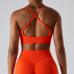 Sports Bra Wholesale Seamless Workout Clothes Wholesale Athletic Wear Distributors