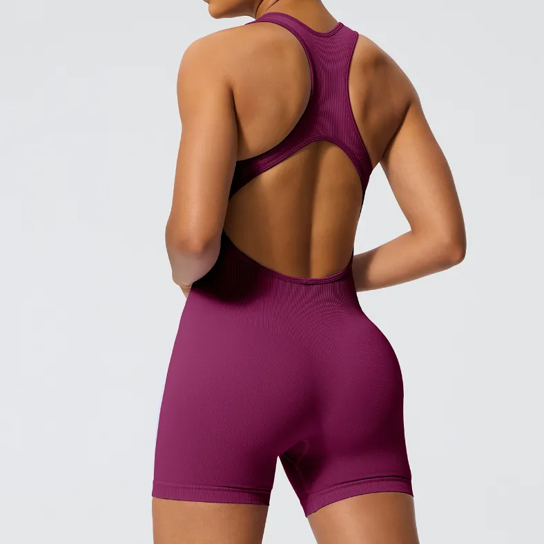 Women's Fitness Jumpsuit​ China Clothing Factory Athletic One Piece Jumpsuit Workout Bodysuit