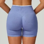 Seamless Gym Shorts Athletic Wear Wholesale Workout Clothes Manufacturer Women's Athletic Shorts