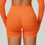 Seamless Gym Shorts Athletic Wear Wholesale Workout Clothes Manufacturer Women's Athletic Shorts Seamless Gym Set