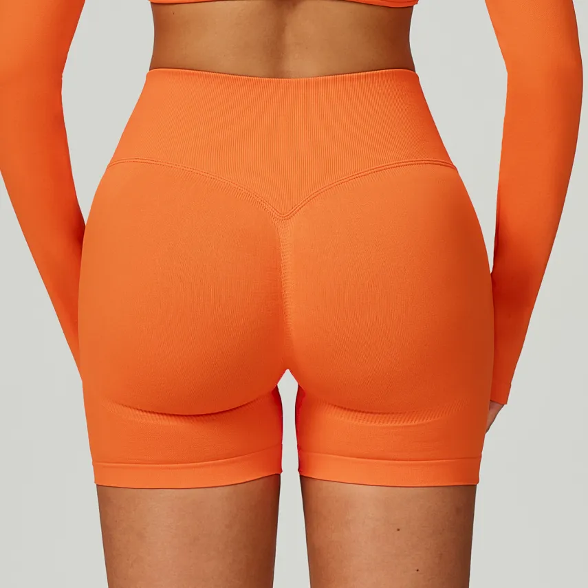 Seamless Gym Shorts Athletic Wear Wholesale Workout Clothes Manufacturer Women's Athletic Shorts Seamless Gym Set