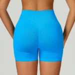 Seamless Gym Shorts Athletic Wear Wholesale Workout Clothes Manufacturer Women's Athletic Shorts Seamless Gym Set