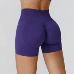 Seamless Gym Shorts Girls Athletic Shorts White Label Fitness Products Seamless Clothing Suppliers